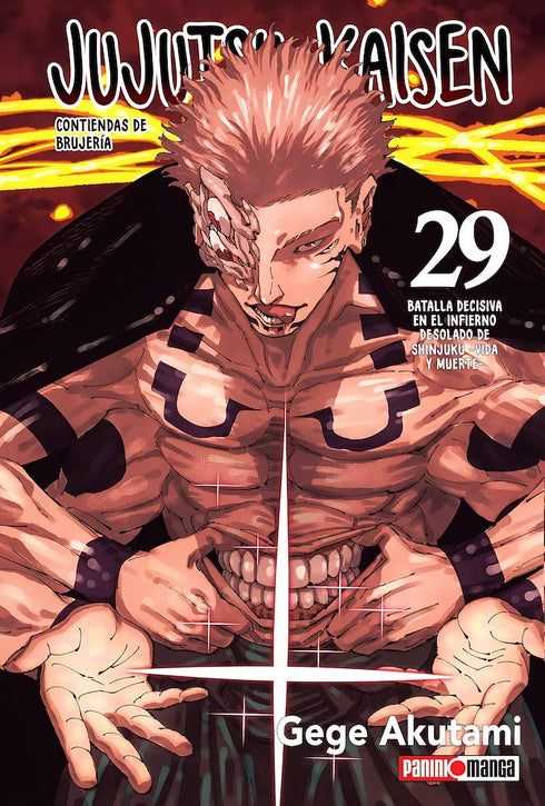 Jujutsu Kaisen 29